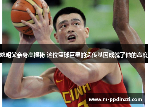 姚明父亲身高揭秘 这位篮球巨星的遗传基因成就了他的高度