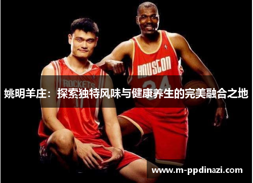 姚明羊庄：探索独特风味与健康养生的完美融合之地