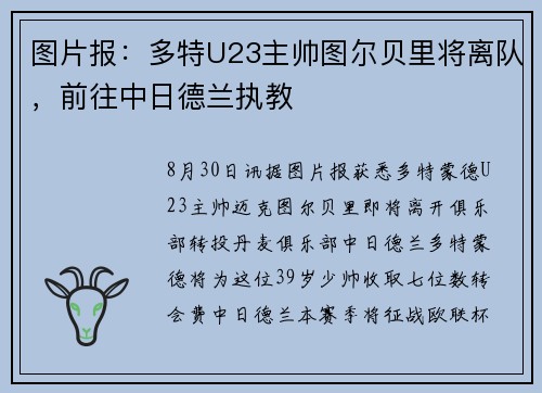 图片报：多特U23主帅图尔贝里将离队，前往中日德兰执教
